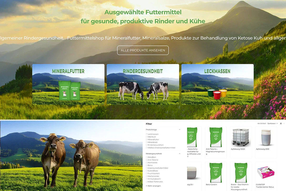 Entur Swiss neu mit Online Shop