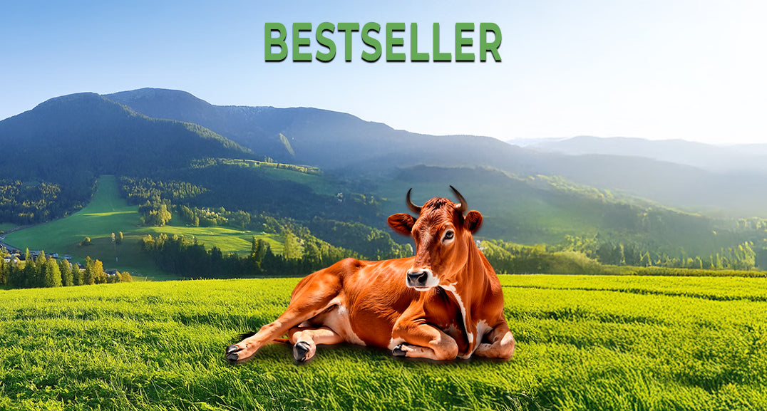 Bestseller – Entur Swiss