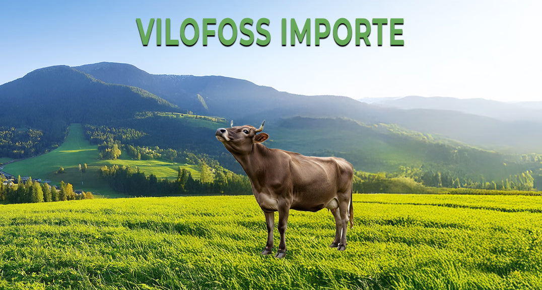 Vilofoss - Ergänzungsfuttermittel