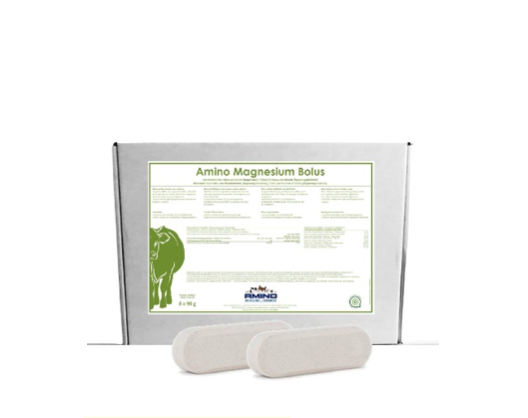 Magnesium Bolus Futtermittel